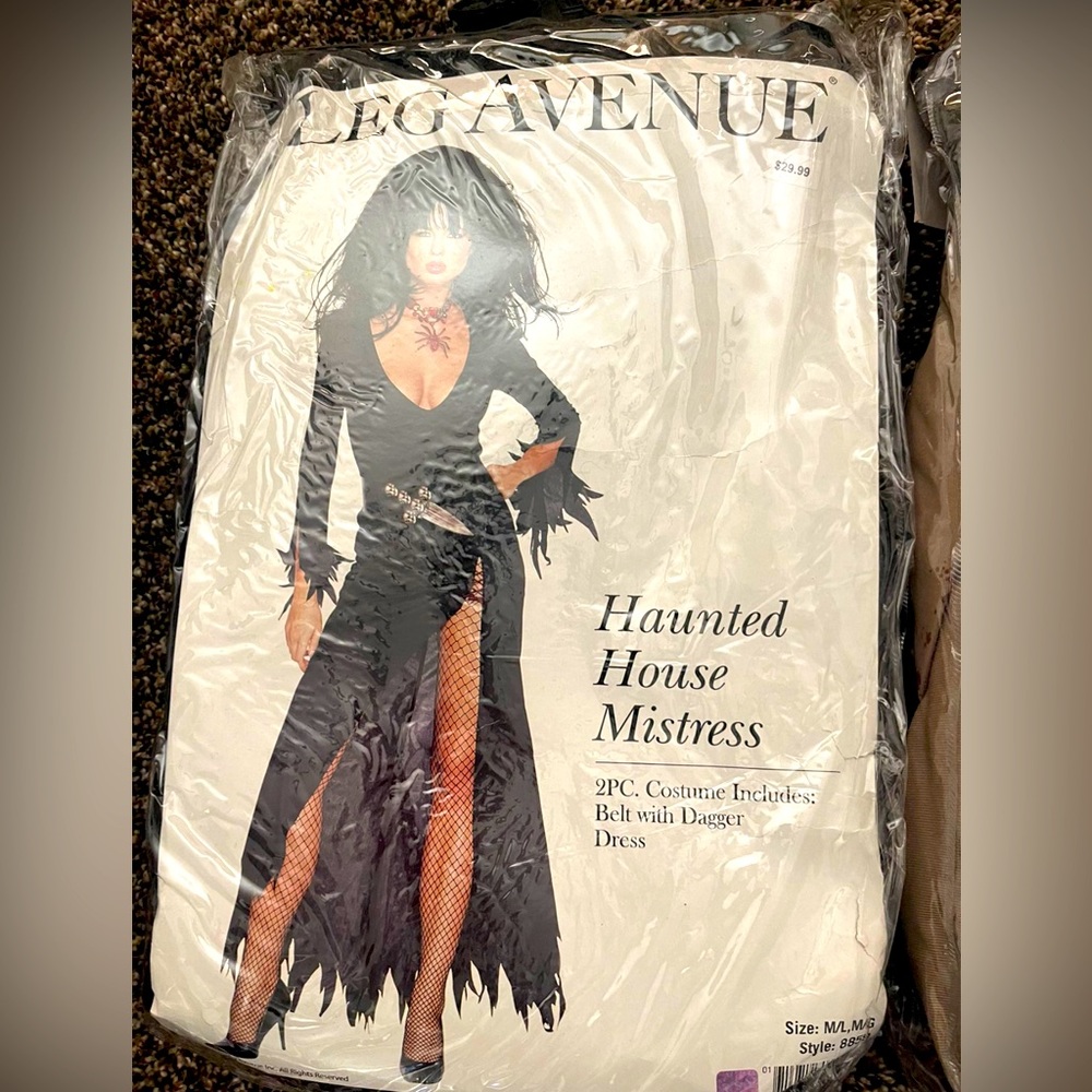 Mistress Haunted Costume